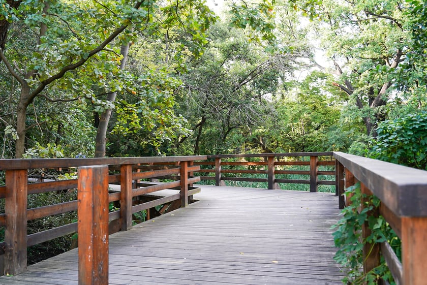 Swojczycki Park Czarna Woda