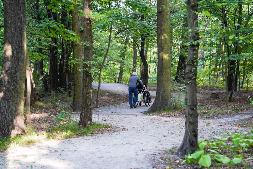 Swojczycki Park Czarna Woda