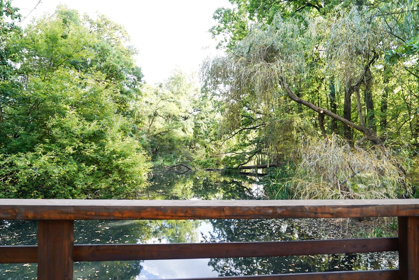 Swojczycki Park Czarna Woda