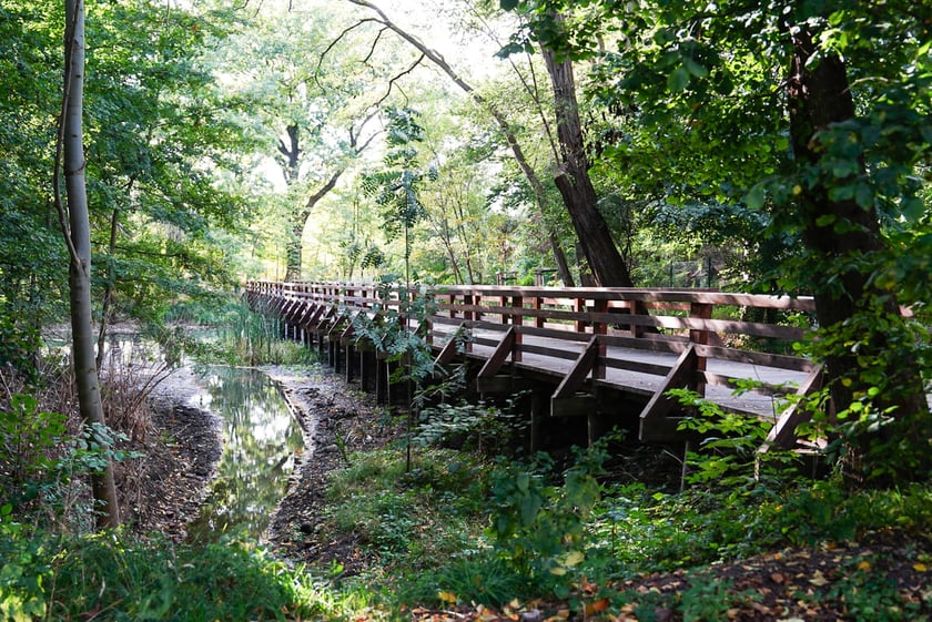 Swojczycki Park Czarna Woda