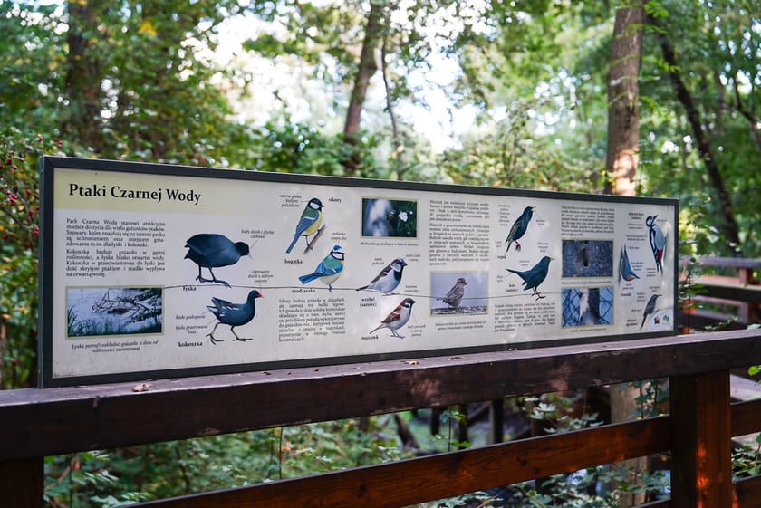 Swojczycki Park Czarna Woda