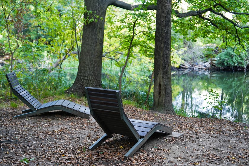 Swojczycki Park Czarna Woda