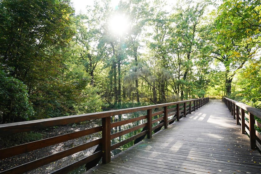 Swojczycki Park Czarna Woda