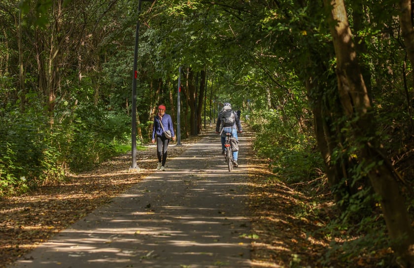 Promenada Krzycka, wrzesień 2025
