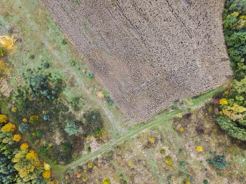 Lokalizacja planowanego parku. Teren pomiędzy ul. Błotną, Ubocze a Wschodnią Obwodnicą Wrocławia.