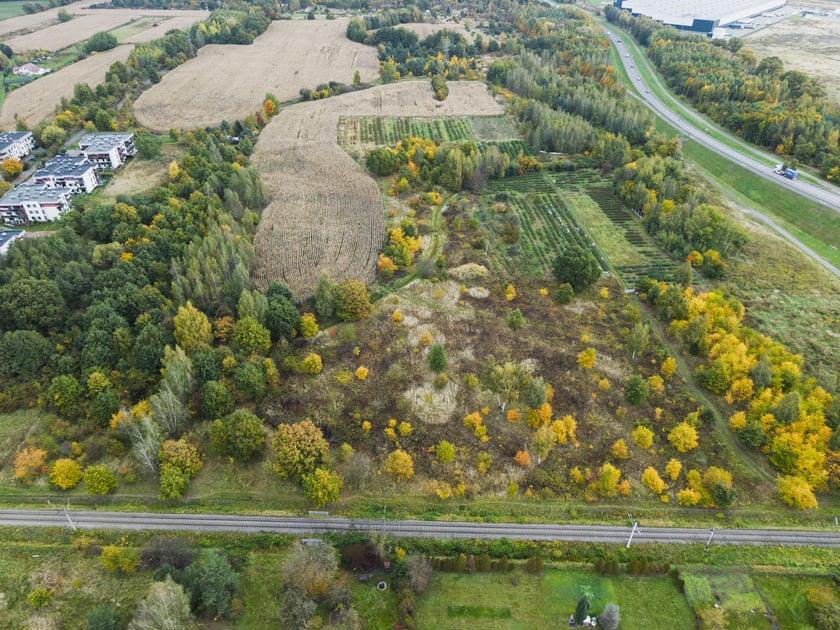 Lokalizacja planowanego parku. Teren pomiędzy ul. Błotną, Ubocze a Wschodnią Obwodnicą Wrocławia.