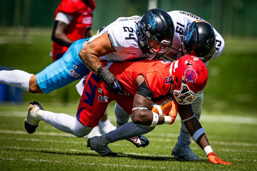 Powiększ obraz: Mecz Firenze Red Lions - Panthers Wrocław we Włoszech.