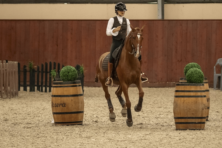 Powiększ obraz: Working Equitation to dyscyplina jeździecka wywodząca się z tradycyjnej pracy z końmi na farmach w krajach południowej Europy