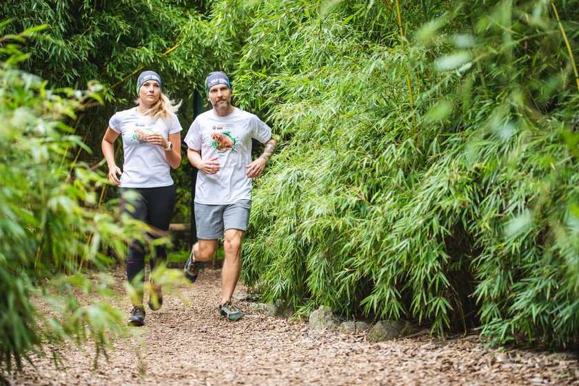 WildRun, 9 października, Wrocław. Wyjątkowy bieg na terenie wrocławskiego ZOO! Cały dochód zostanie przekazany na ratowanie zagrożonych gatunków zwierząt Azji. Wystartować można również wirtualnie. Biegacze wyruszą na trasę na trzech dystansach. Główny bieg to dystans 10 km. Wcześniej zaplanowano również dwa biegi towarzyszące: dla najmłodszych do 8 lat na 100 m oraz dla młodzieży do 16 lat na 1 km.