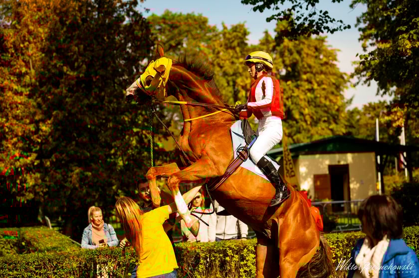 Joanna Rychlak i Rolsi Roys