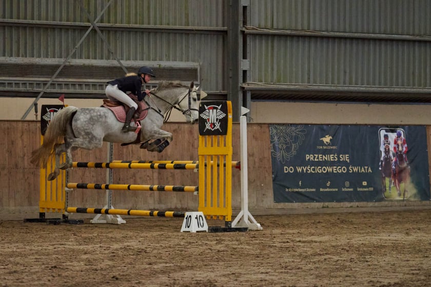 Finał Pucharu w skokach przez przeszkody na Partynicach - 26 marca 2023 r.