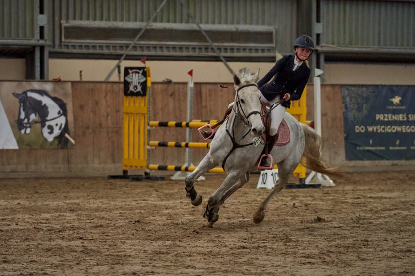 Finał Pucharu w skokach przez przeszkody na Partynicach - 26 marca 2023 r.