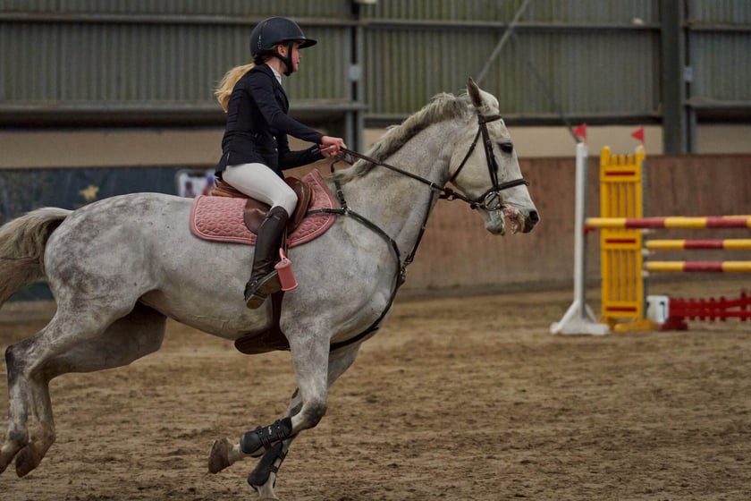 Finał Pucharu w skokach przez przeszkody na Partynicach - 26 marca 2023 r.