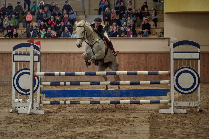 Finał Pucharu w skokach przez przeszkody na Partynicach - 26 marca 2023 r.