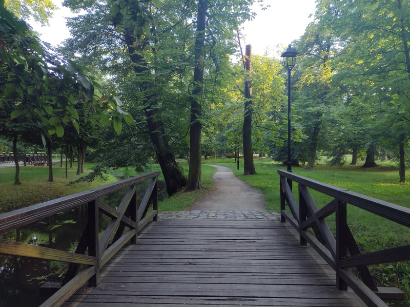 Park Brochowski