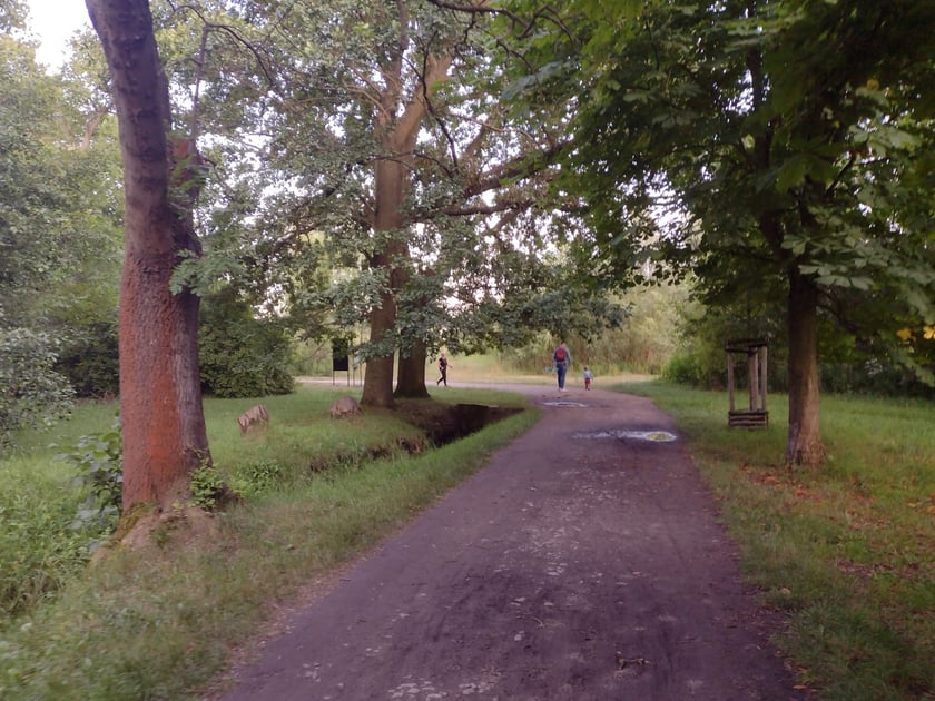 Park Brochowski