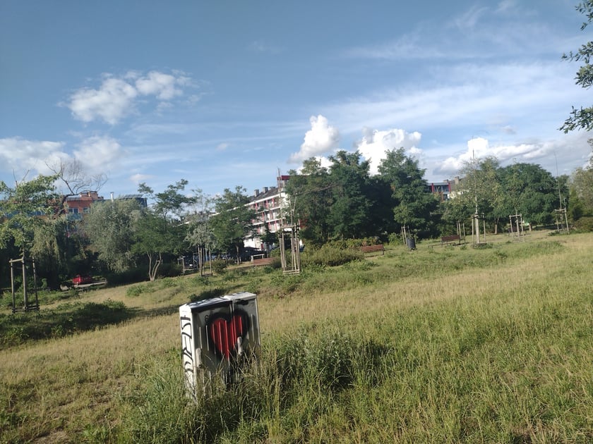 Widok z Promenady Krzyckiej