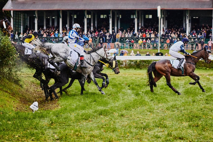 11. dzień wyścigowy na Partynicach i Crystal Cup