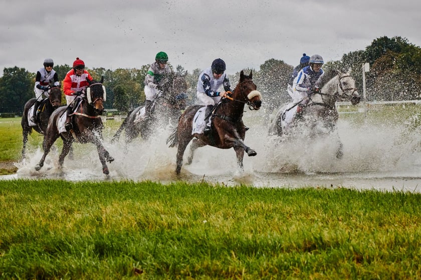 11. dzień wyścigowy na Partynicach i Crystal Cup