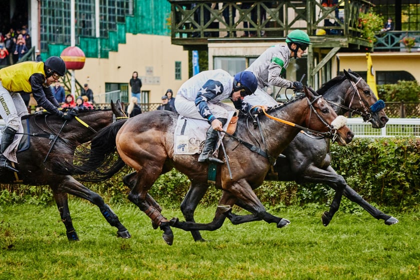 11. dzień wyścigowy na Partynicach i Crystal Cup