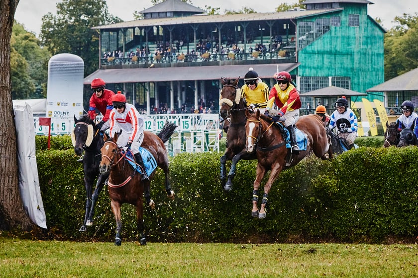 11. dzień wyścigowy na Partynicach i Crystal Cup