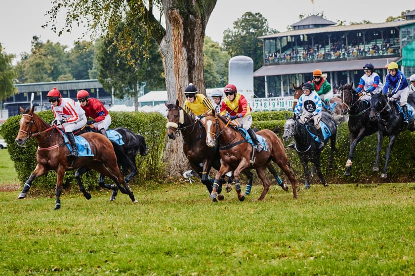 11. dzień wyścigowy na Partynicach i Crystal Cup