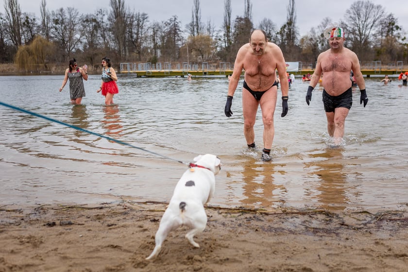 Wrocławskie Morsy na Morskim Oku - luty 2024