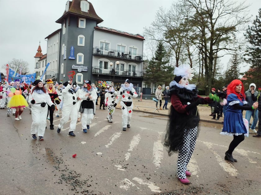 XXI Międzynarodowy Zlot Morsów w Mielnie odbył się w miniony weekend. Na zdjęciu morsy z Wrocławia