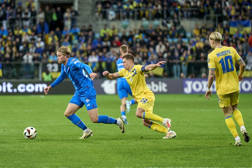Ukraina - Islandia na Tarczyński Arenie - zdjęcia z meczu oraz kibiców