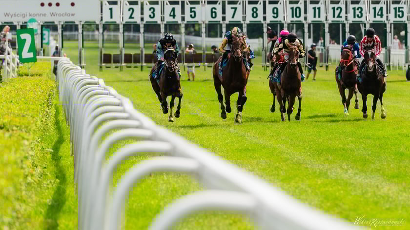 W Boże Ciało tak ścigano się na Partynicach