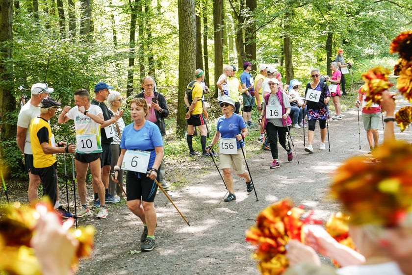Uczestnicy mistrzostw w joggingu i nordic walking  w parku Zachodnim, 15 czerwca 2024 r.