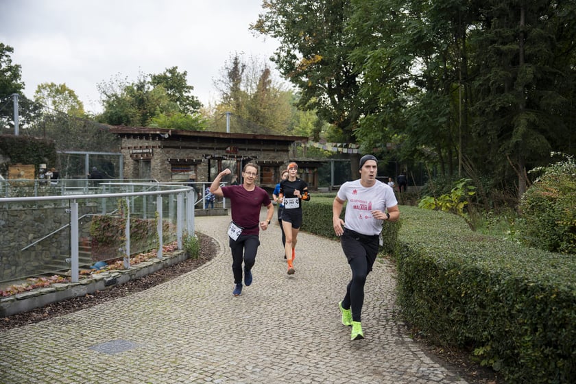 Bieg charytatywny Wild Run po wrocławskim zoo, 06.10.2024
