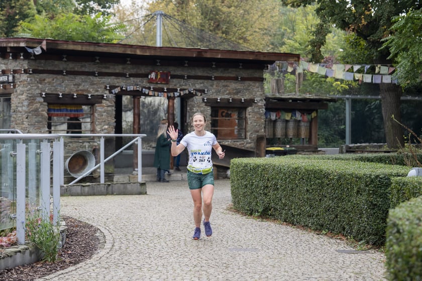 Bieg charytatywny Wild Run po wrocławskim zoo, 06.10.2024