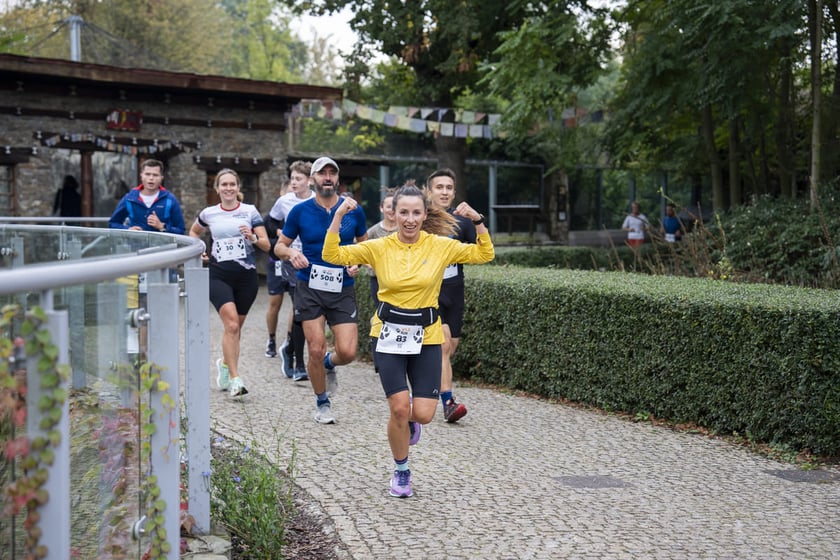 Bieg charytatywny Wild Run po wrocławskim zoo, 06.10.2024