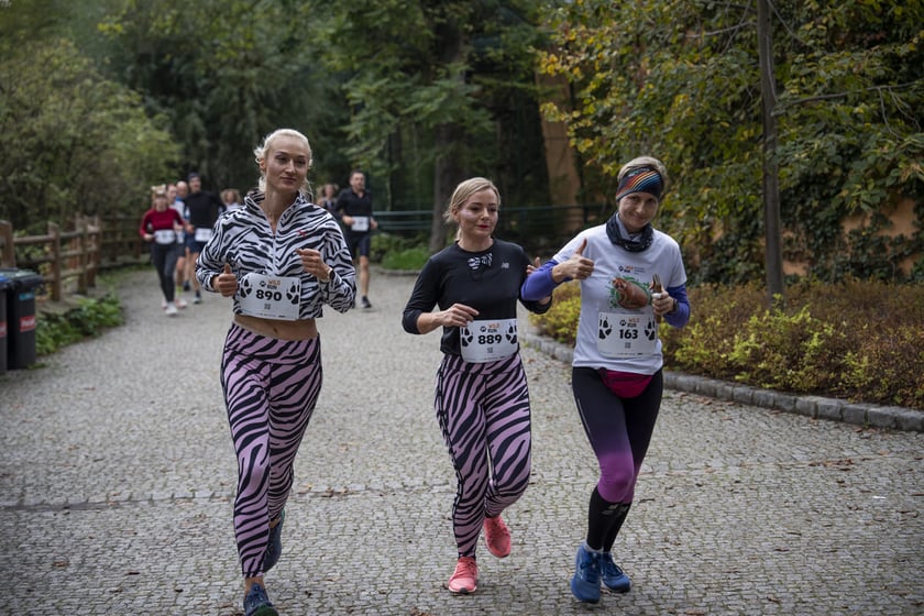 Bieg charytatywny Wild Run po wrocławskim zoo, 06.10.2024