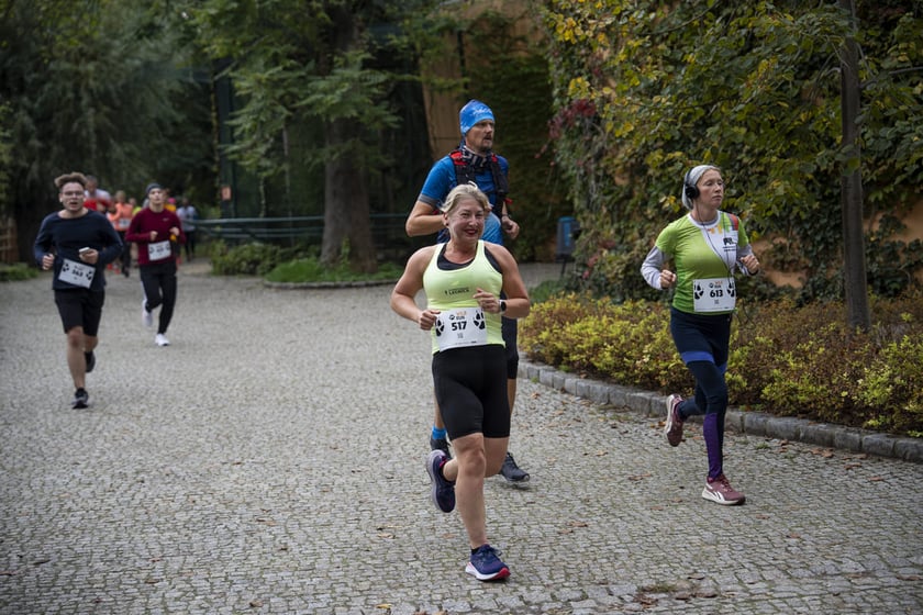 Bieg charytatywny Wild Run po wrocławskim zoo, 06.10.2024