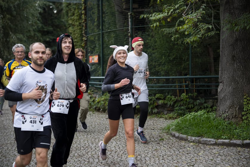 Bieg charytatywny Wild Run po wrocławskim zoo, 06.10.2024