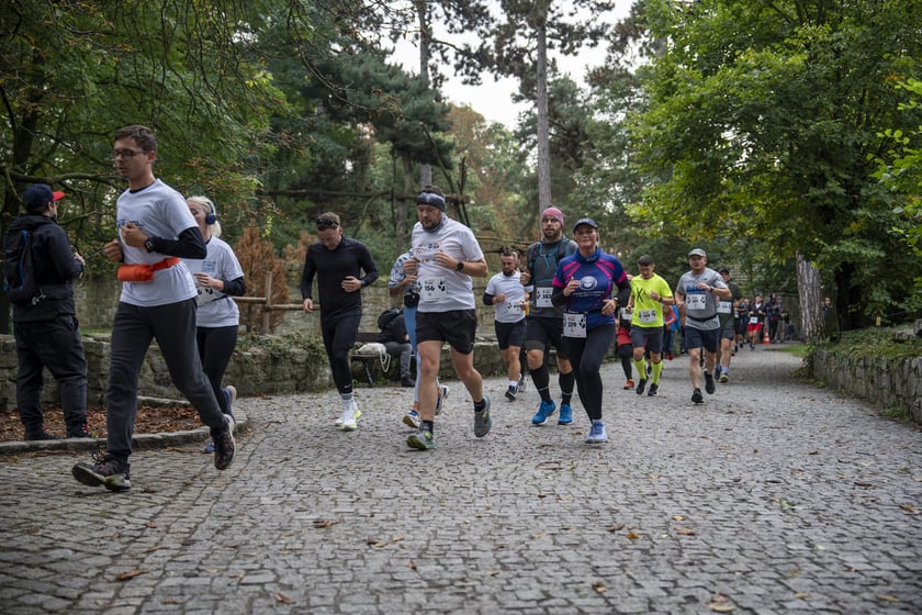 Bieg charytatywny Wild Run po wrocławskim zoo, 06.10.2024