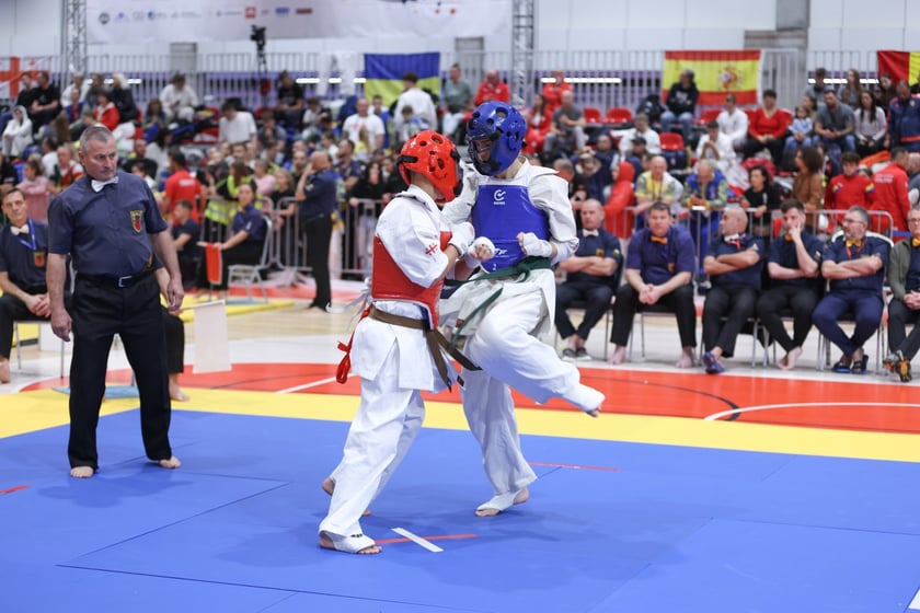 Mistrzostwa Europy w karate we Wrocławiu