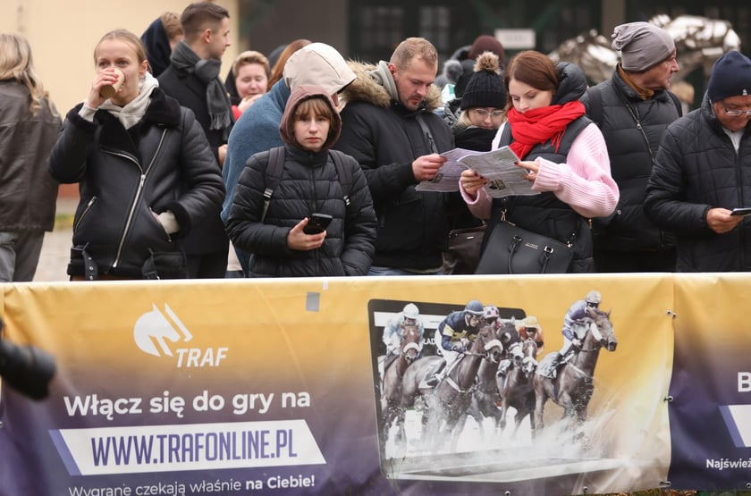 Finał sezonu wyścigów konnych 2024 na Partynicach