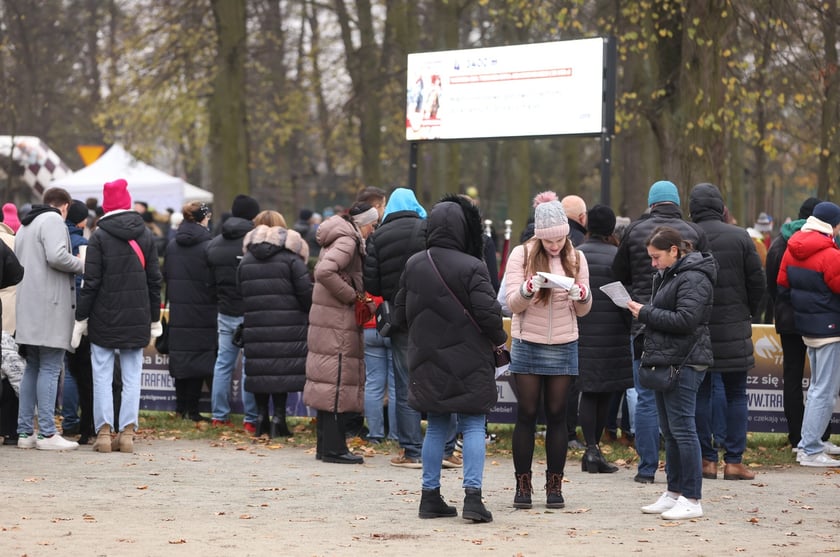 Finał sezonu wyścigów konnych 2024 na Partynicach