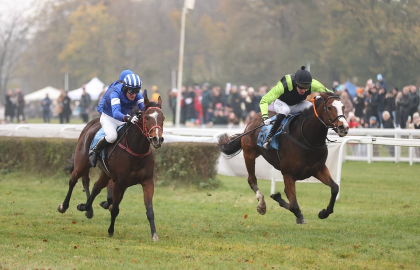 Finał sezonu wyścigów konnych 2024 na Partynicach