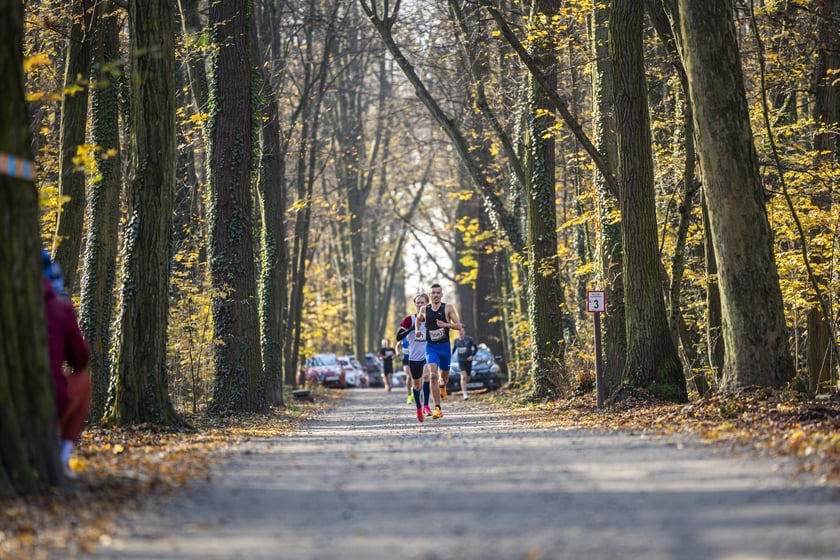 Bieg CITY TRAIL w Lesie Osobowickim we Wrocławiu. Zdjęcia biegaczy