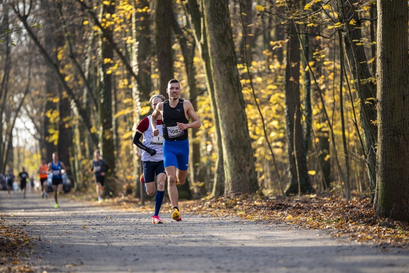 Bieg CITY TRAIL w Lesie Osobowickim we Wrocławiu. Zdjęcia biegaczy