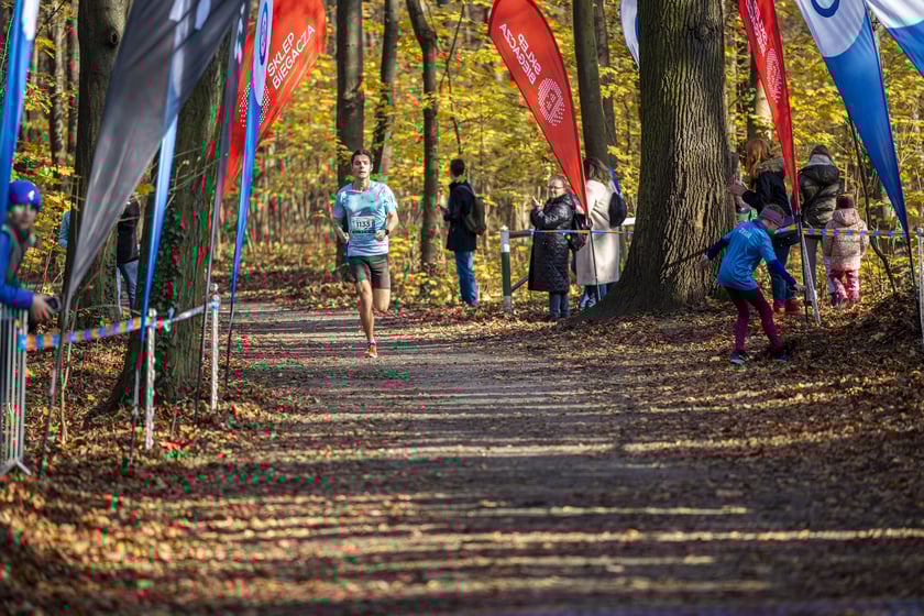 Bieg CITY TRAIL w Lesie Osobowickim we Wrocławiu. Zdjęcia biegaczy