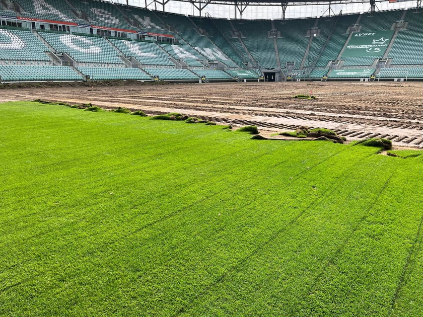 Wymiana murawy na stadionie Tarczyński Arena we Wrocławiu