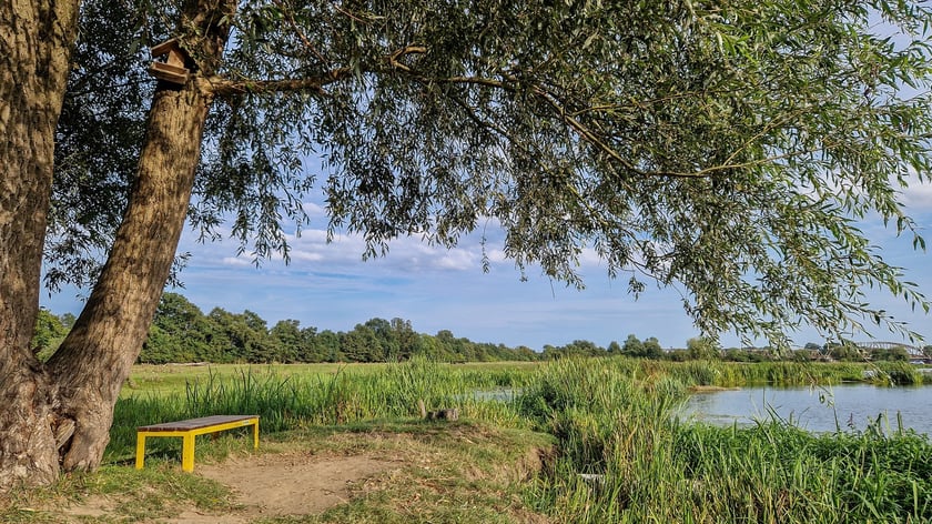 Do wieży w Kotowicach