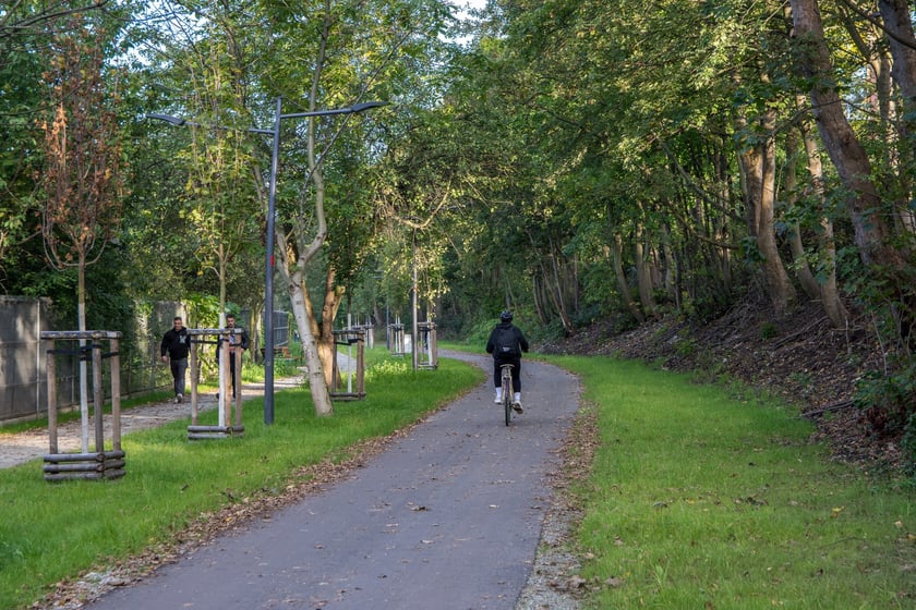 Parkowa