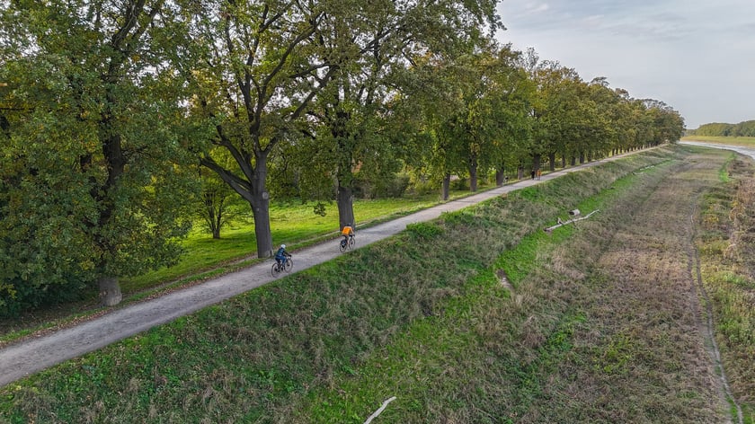 Pętla Wielka Wyspa