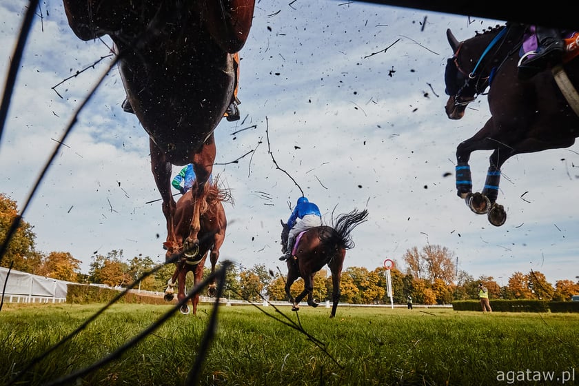 Wyścigi konne na Partynicach, zdjęcie archiwalne